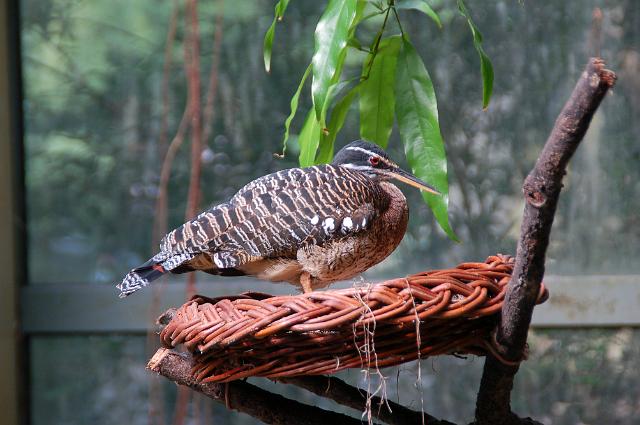 dierentuin emmen_1026